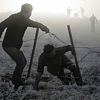 ヤクザの車 人気車種 ナンバーや見分け方 職業データベース